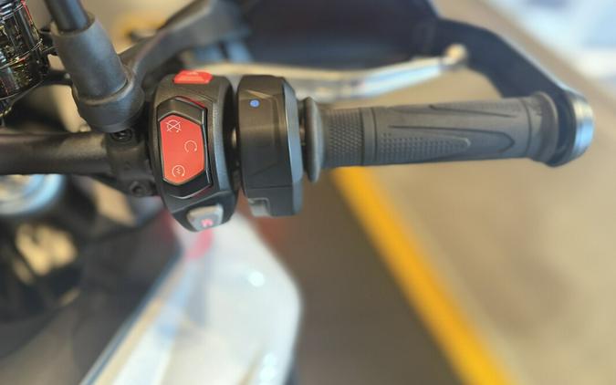 2026 Triumph Tiger 900 Alpine Edition