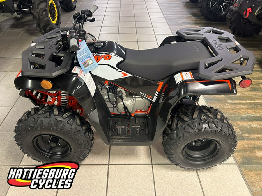 2027 Kayo Bull 110