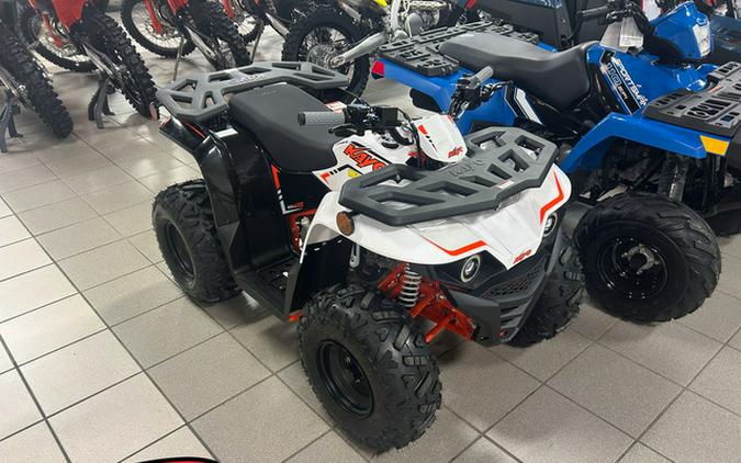 2027 Kayo Bull 110