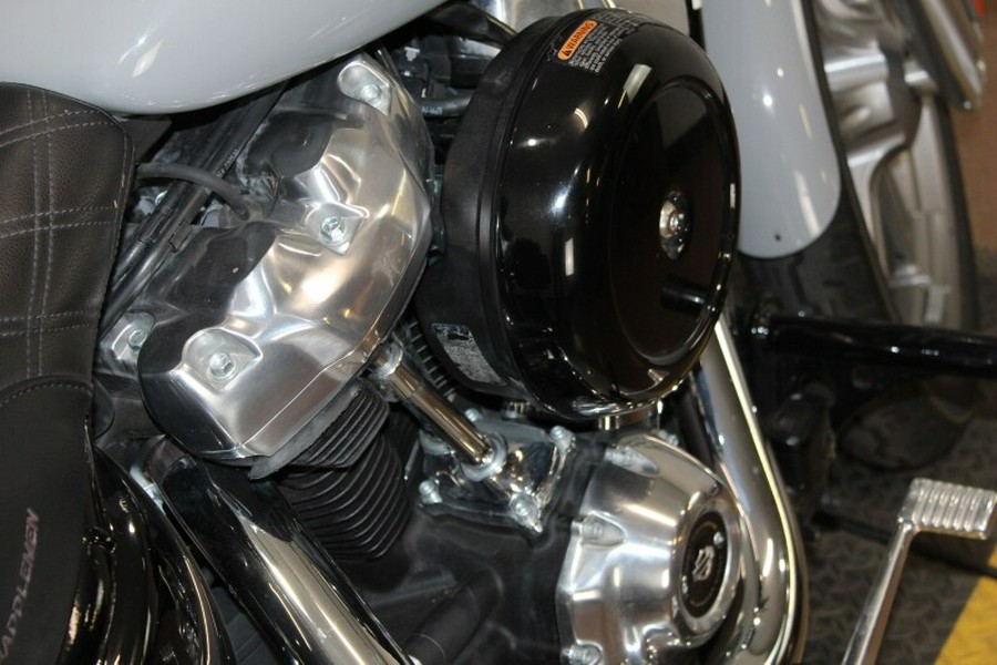 Harley-Davidson Softail Standard 2024 FXST 84493883 BILLIARD GRAY