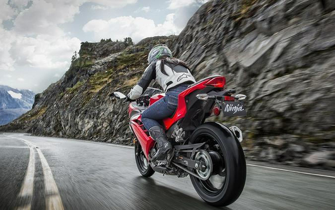 2016 Kawasaki Ninja 300