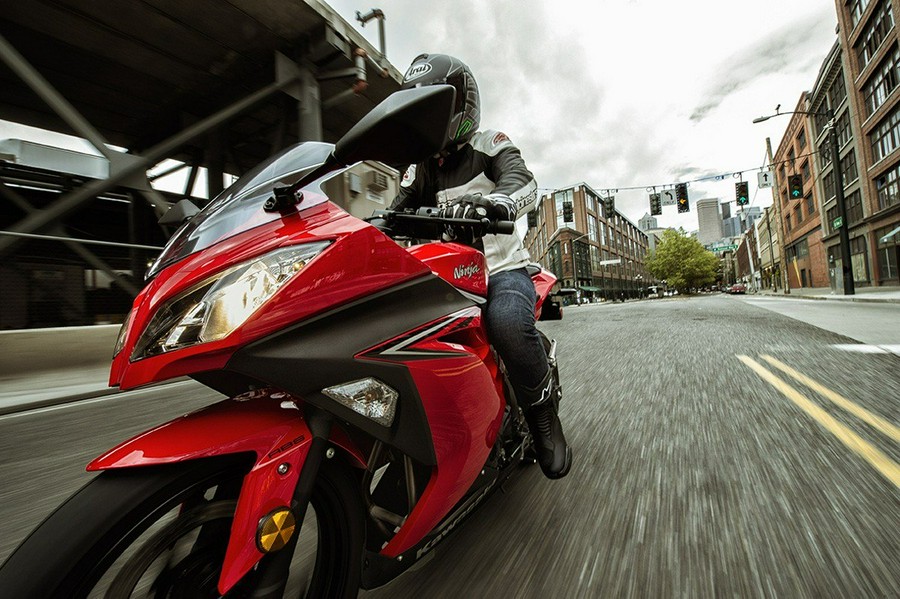 2016 Kawasaki Ninja 300