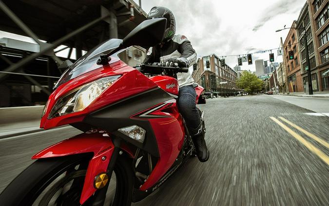 2016 Kawasaki Ninja 300