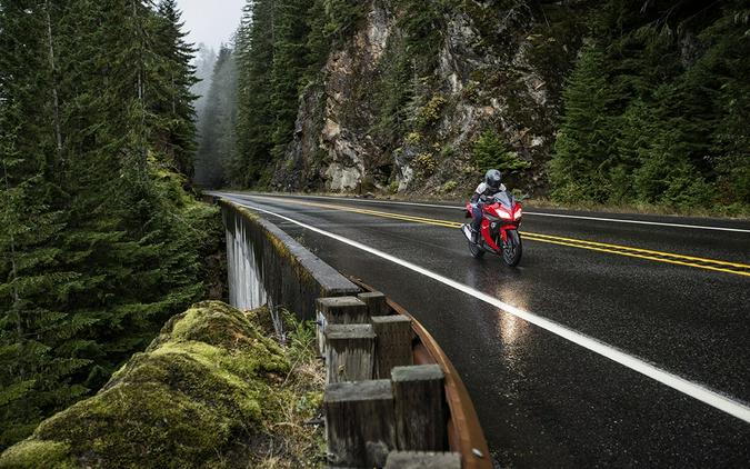 2016 Kawasaki Ninja 300