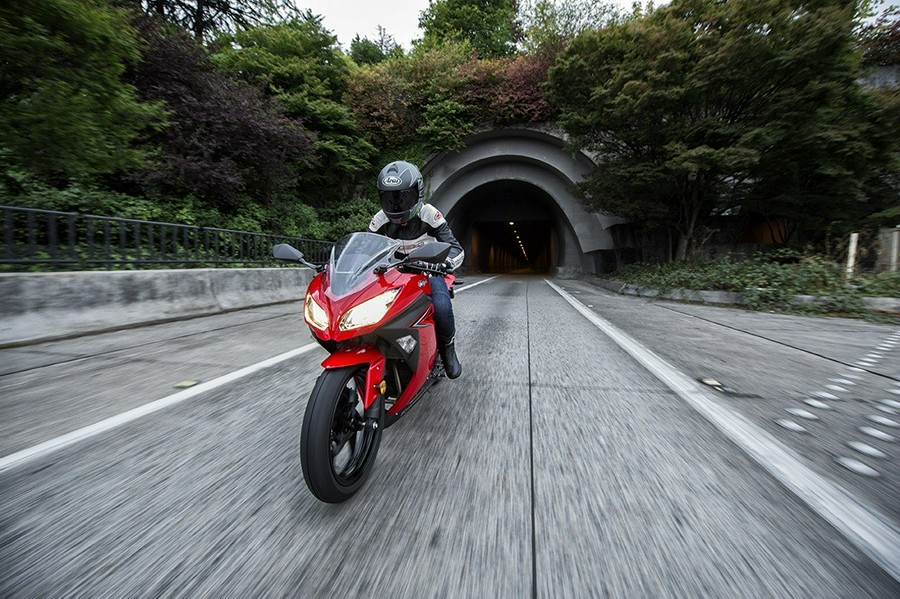 2016 Kawasaki Ninja 300