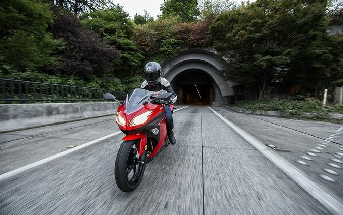 2016 Kawasaki Ninja 300