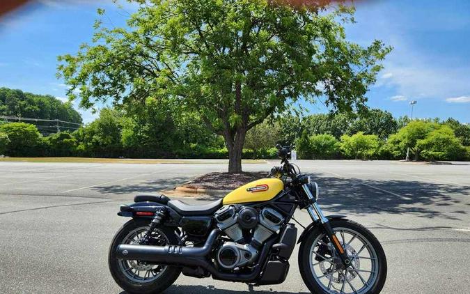 Used Harley-Davidson Nightster Cruiser motorcycles for sale in