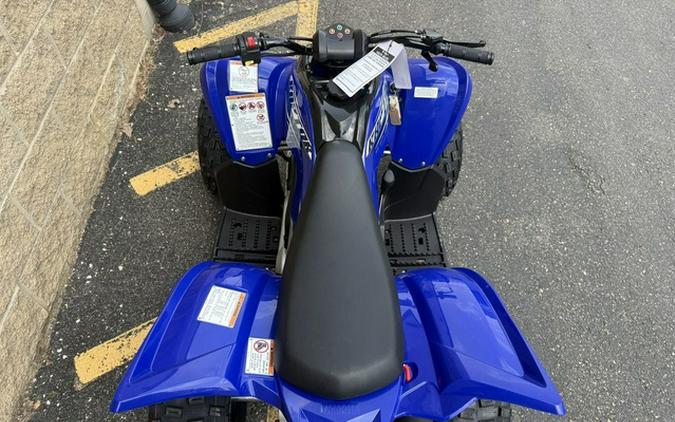 2026 Yamaha Raptor 110