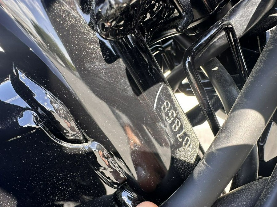 2025 Kawasaki W230 ABS