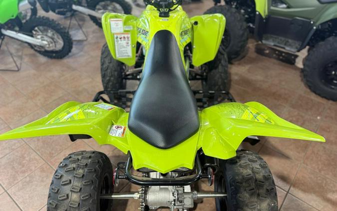 2026 Yamaha Raptor 700R SE