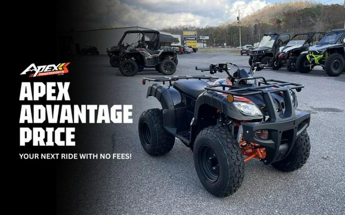 2026 Kayo Bull 150 EFI