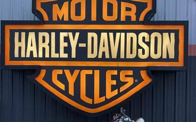 2013 Harley-Davidson® FLSTF - Softail® Fat Boy®