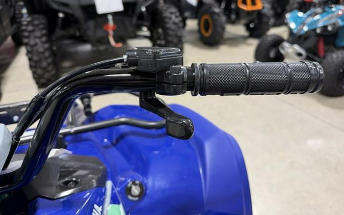 2026 Yamaha Grizzly 110