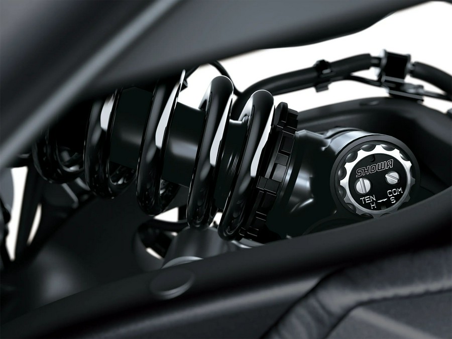 2026 Kawasaki Ninja ZX-10R ABS