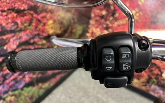 2019 Harley-Davidson Low Rider®