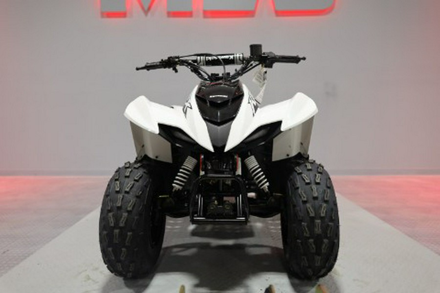 2027 Kawasaki KFX®90