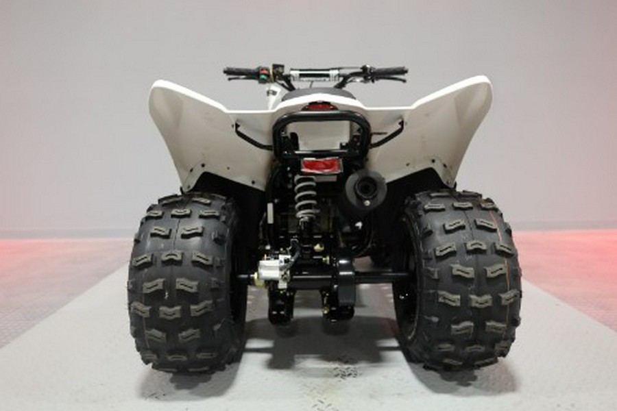 2027 Kawasaki KFX®90