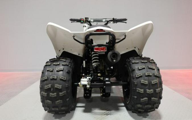 2027 Kawasaki KFX®90