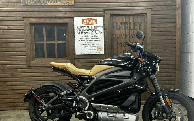 2020 Harley-Davidson LiveWire Review: 23 Fast Facts