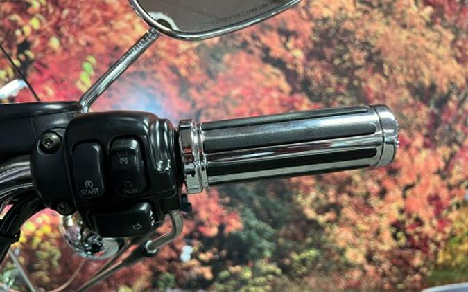 2008 Harley-Davidson Sportster® 1200 Custom
