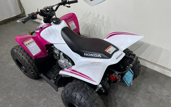 2023 Honda® TRX90X