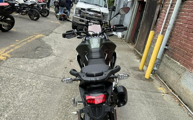 2025 Triumph TIGER 900 RALLY PRO