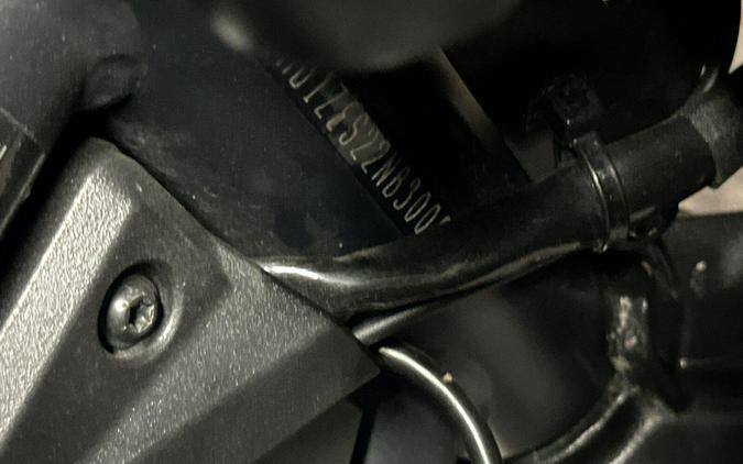 2022 Harley-Davidson Pan America Special