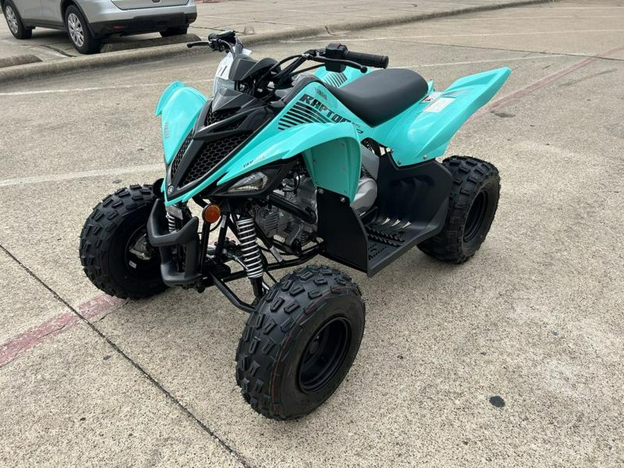 2024 Yamaha Raptor 110