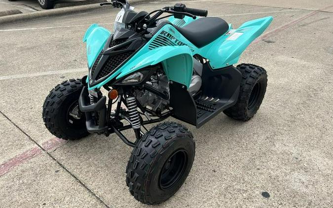 2024 Yamaha Raptor 110