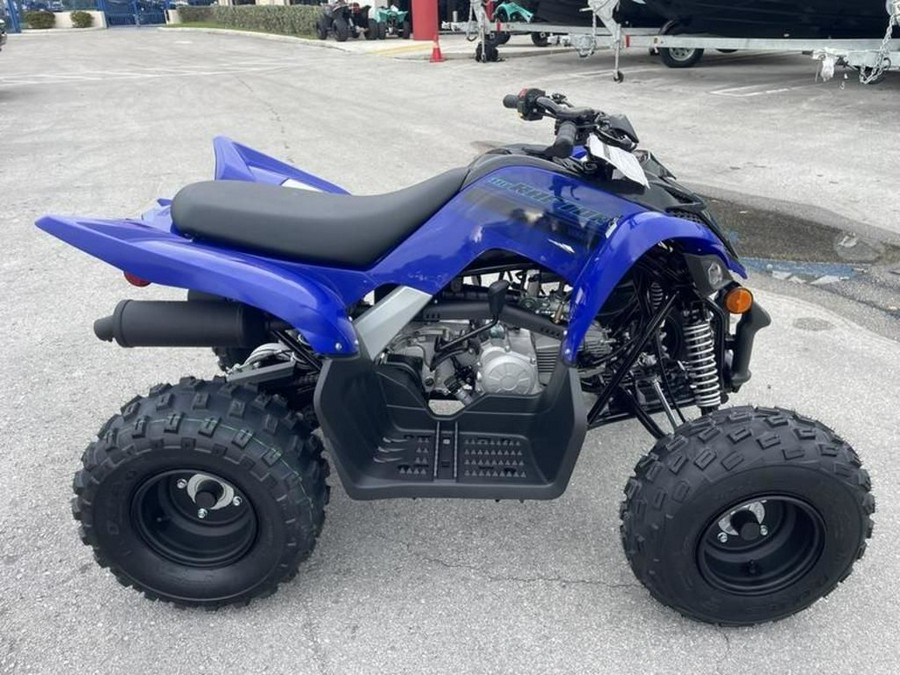 2026 Yamaha Raptor 110