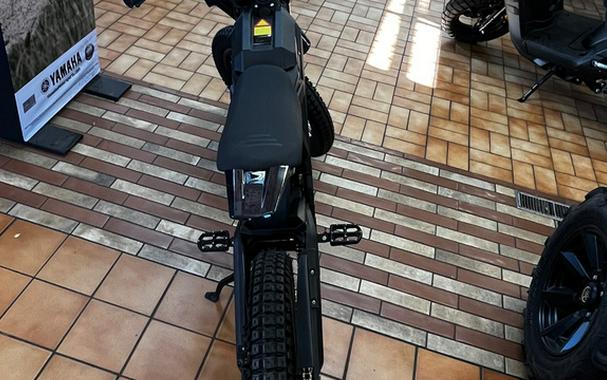 2025 ERIDE PRO SS 3.0