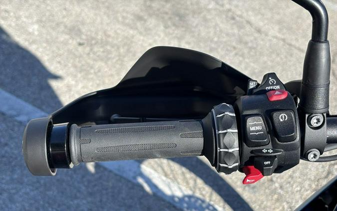 2026 BMW F 900 GS Passion 900 GS