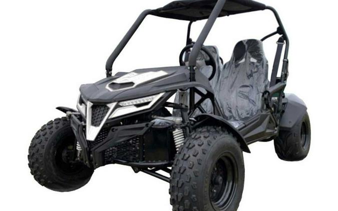 2026 Trailmaster Cheetah 200 Full Size Buggy