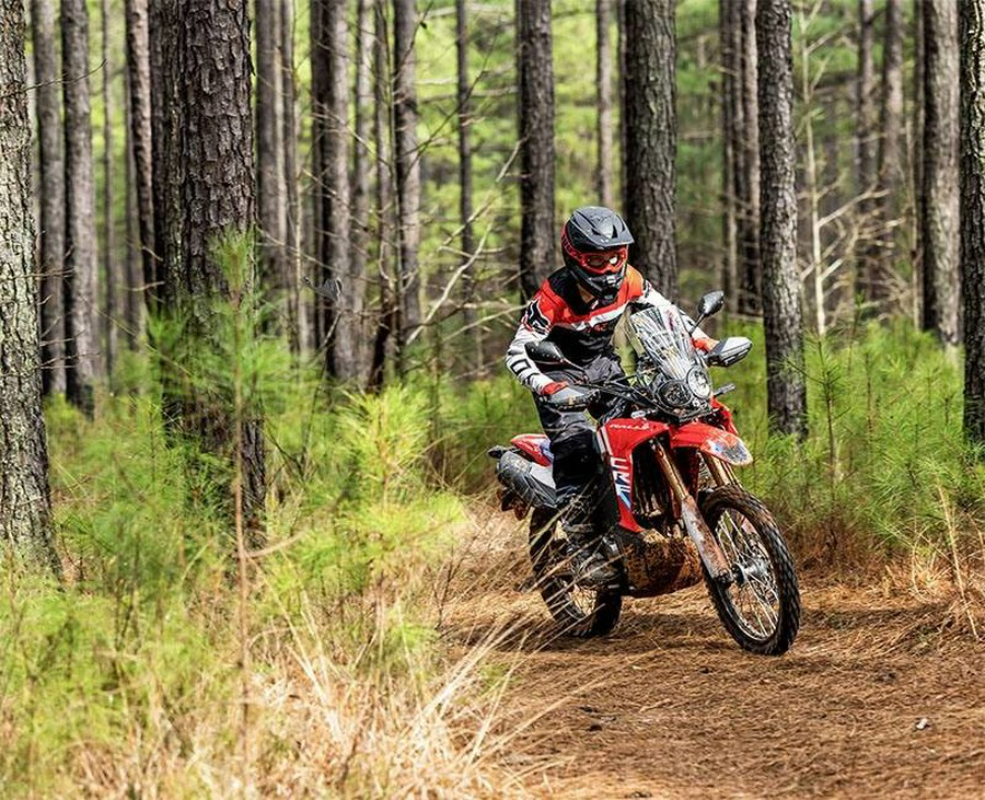 2026 CRF300L RALLY - Honda