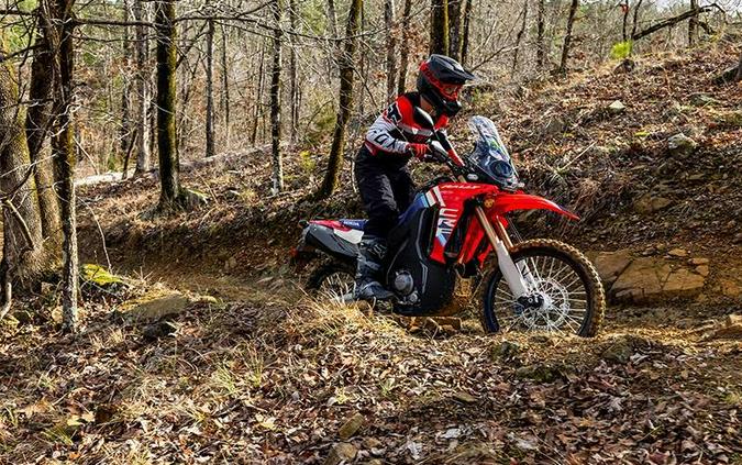 2026 CRF300L RALLY - Honda
