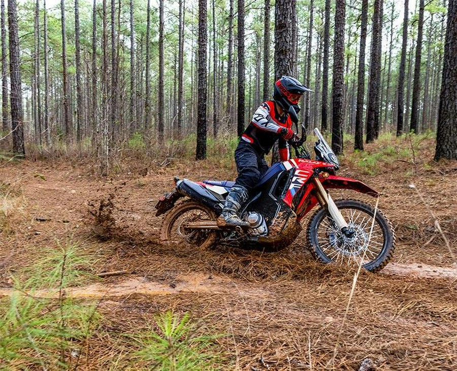 2026 CRF300L RALLY - Honda
