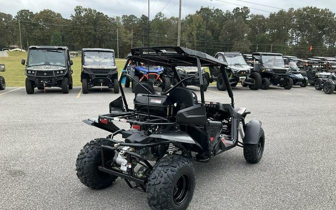 2026 Trailmaster Cheetah 200 Full Size Buggy