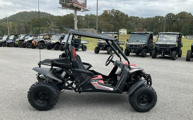2026 Trailmaster Cheetah 200 Full Size Buggy