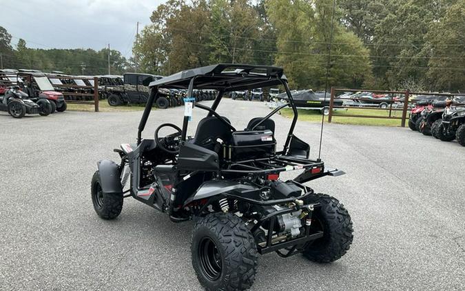 2026 Trailmaster Cheetah 200 Full Size Buggy