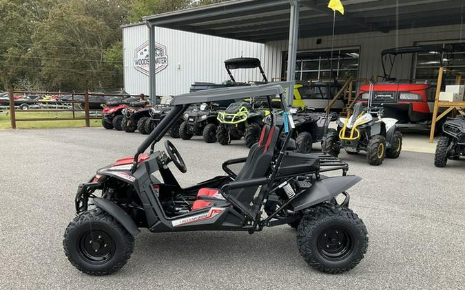 2026 Trailmaster Cheetah 200 Full Size Buggy