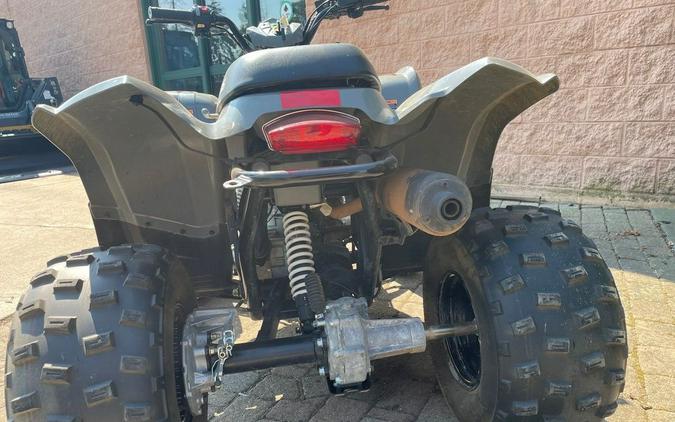 2018 Polaris® Phoenix® 200