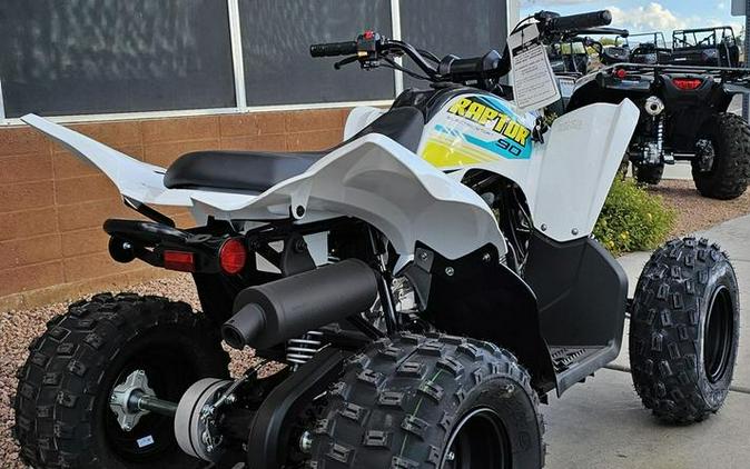 2023 Yamaha Raptor 90