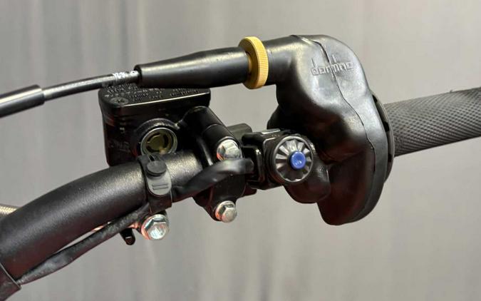 2025 BETA MOTORCYLES RX 300