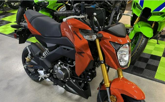 2025 Kawasaki Z125 PRO