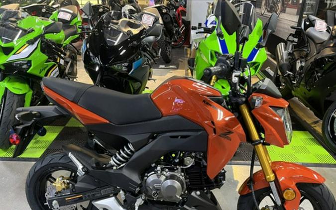 2025 Kawasaki Z125 PRO