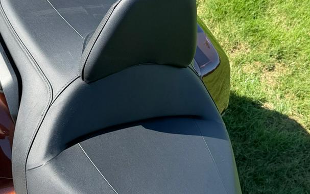 2018 Honda Gold Wing Pearl Stallion Brown