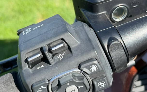 2018 Honda Gold Wing Pearl Stallion Brown