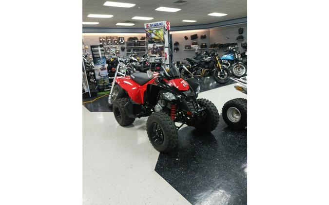 2024 Can-Am ATV DS 2X4 250-4ST RD 24