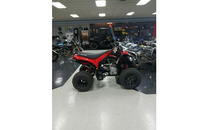 2024 Can-Am ATV DS 2X4 250-4ST RD 24