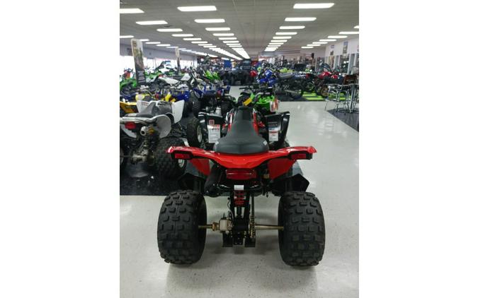 2024 Can-Am ATV DS 2X4 250-4ST RD 24